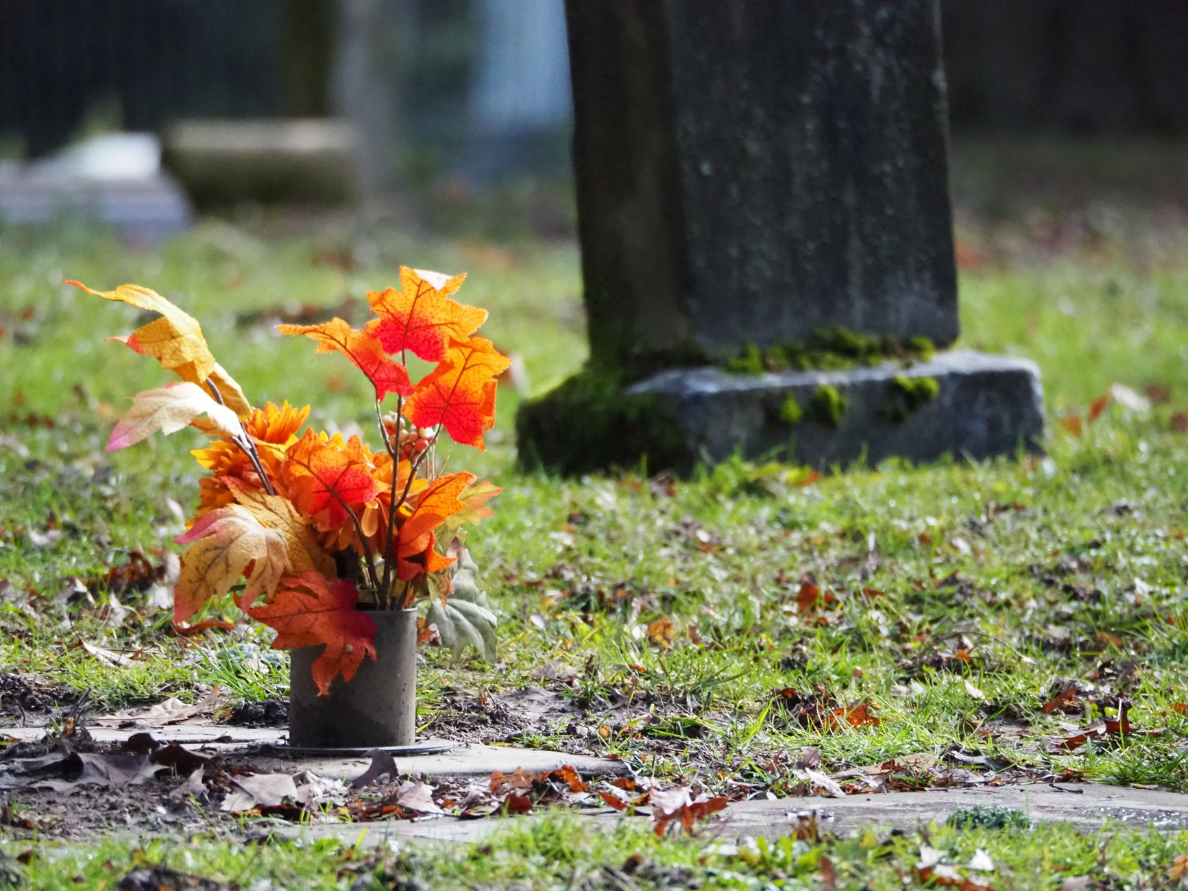 1er novembre pourquoi ce jour — feuilles d'automne fleurs cimetière